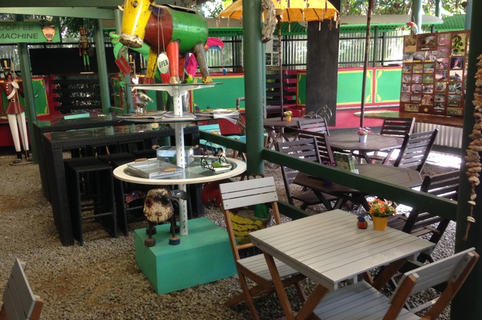 river cruises daintree tour crocodiles